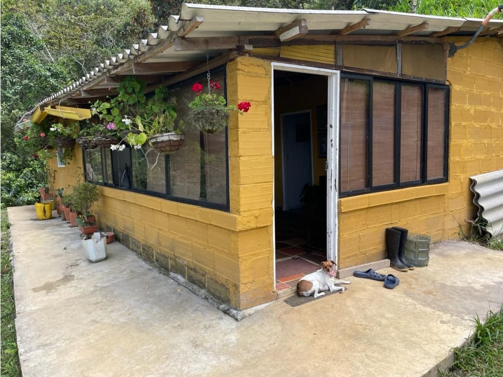 VENTA CASA CAMPESTRE UNA CUADRA SANTO DOMIGO ANTIOQUIA - 1