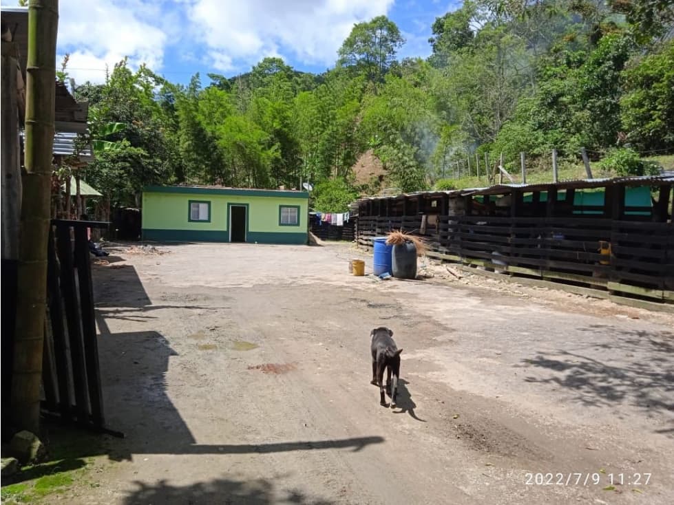 VENDO EN IBAGUÉ FINCA CON HERMOSA VISTA AL NEVADO DEL TOLIMA - 1