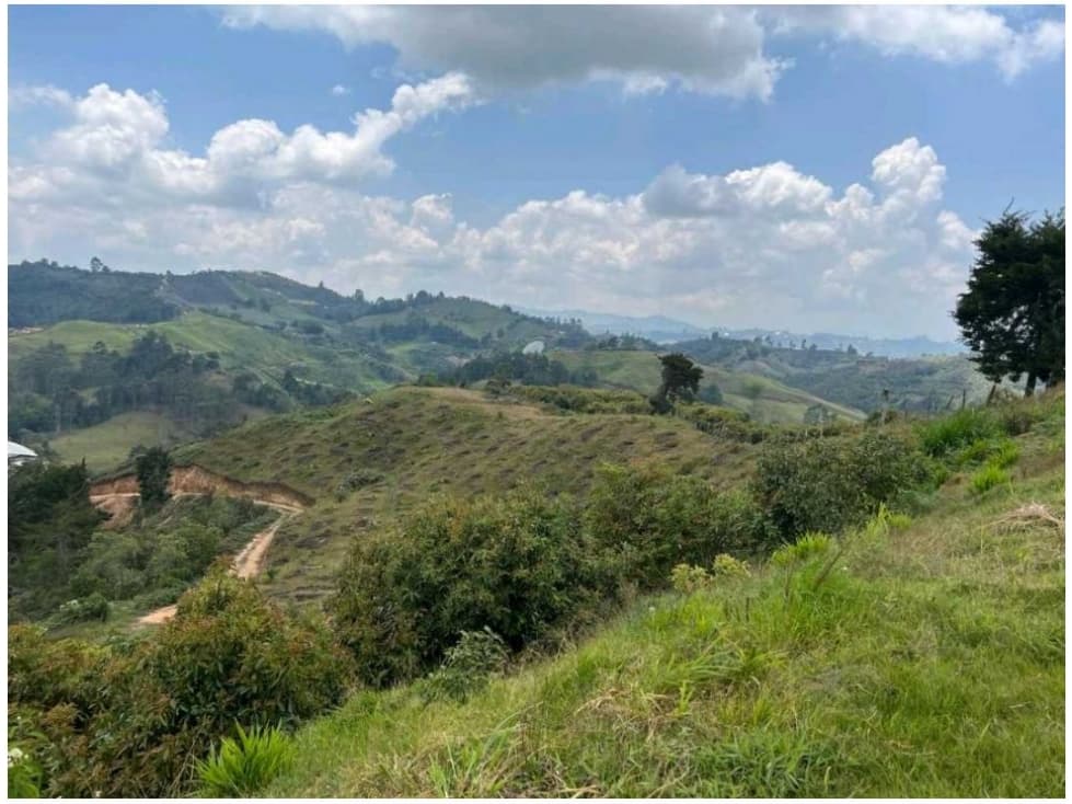 FINCA AGRICOLA SAN VICENTE - 1