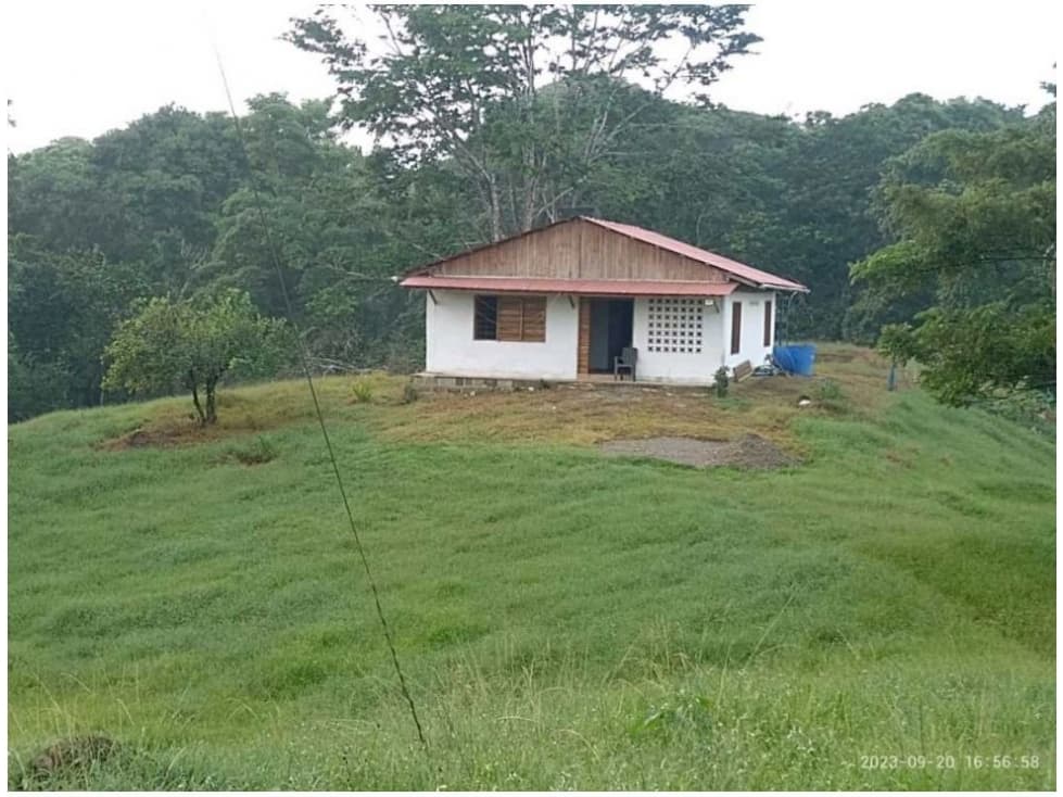 SE VENDE FINCA EN NECOCLI VEREDA MONCHOLO - 1