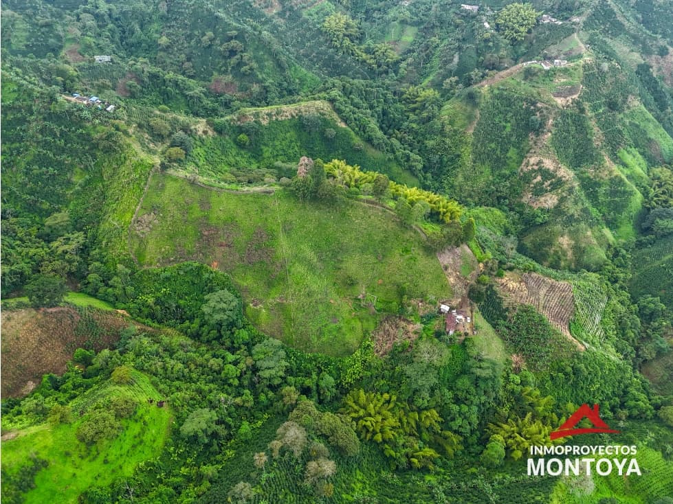 Venta finca productiva en Santa Rosa de Cabal, Risaralda - 1