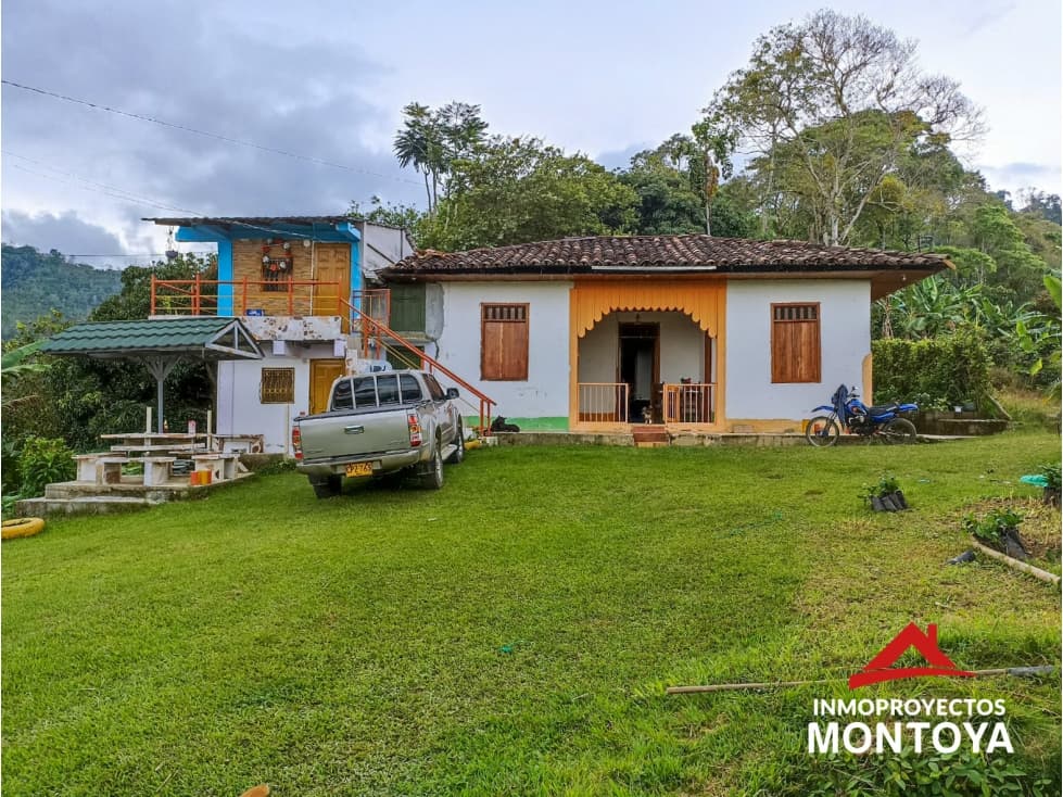 Finca cafetera a 10 min de Balboa, Risaralda - 1
