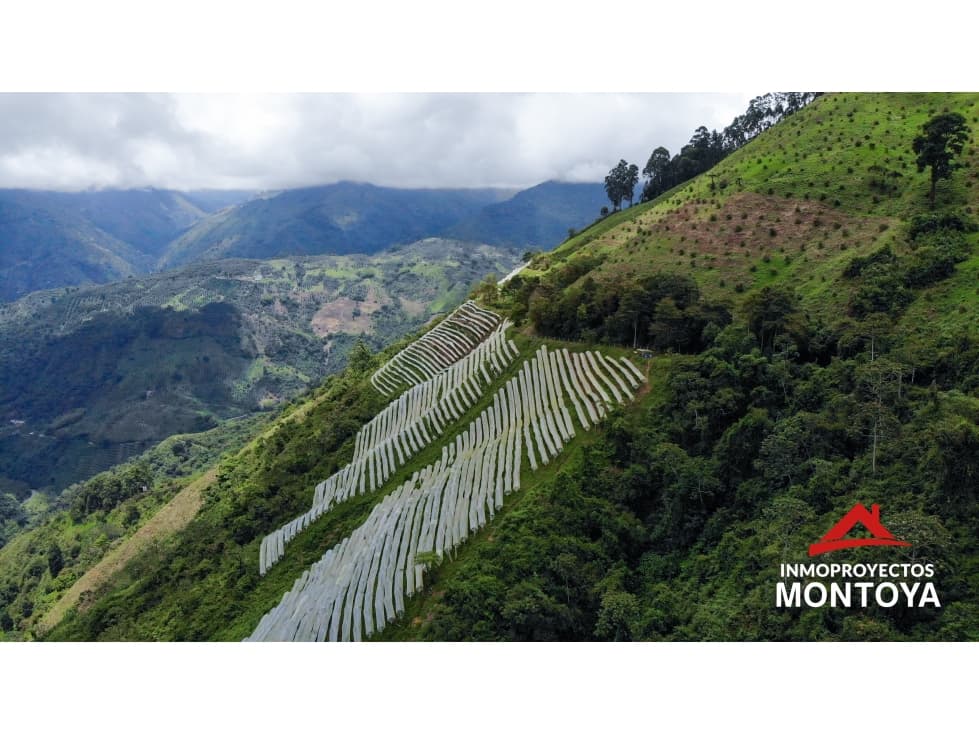 Finca productiva de 130 hectáreas en Génova, Quindío - 1