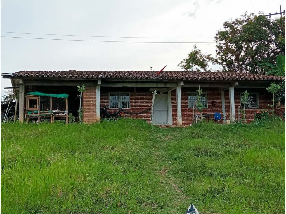 Casa-lote en la vía Alcalá-Cartago - 1