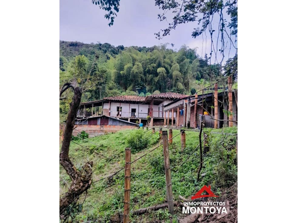 Finca cafetera a 20 min de Ansermanuevo, Valle - 1