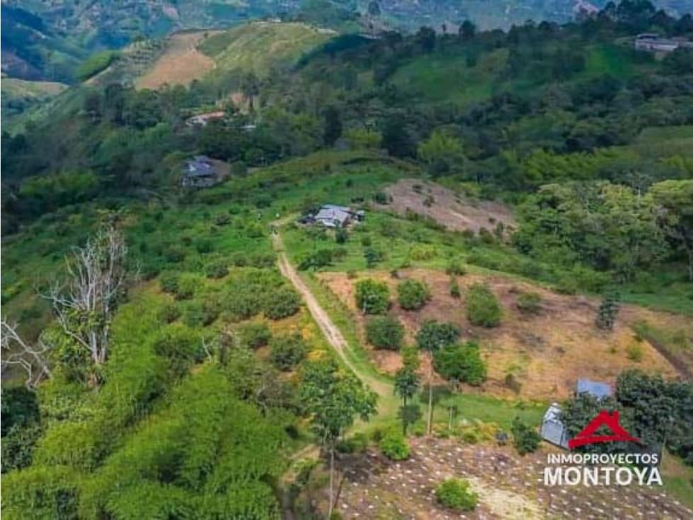 Finca cafetera en Marsella - 1