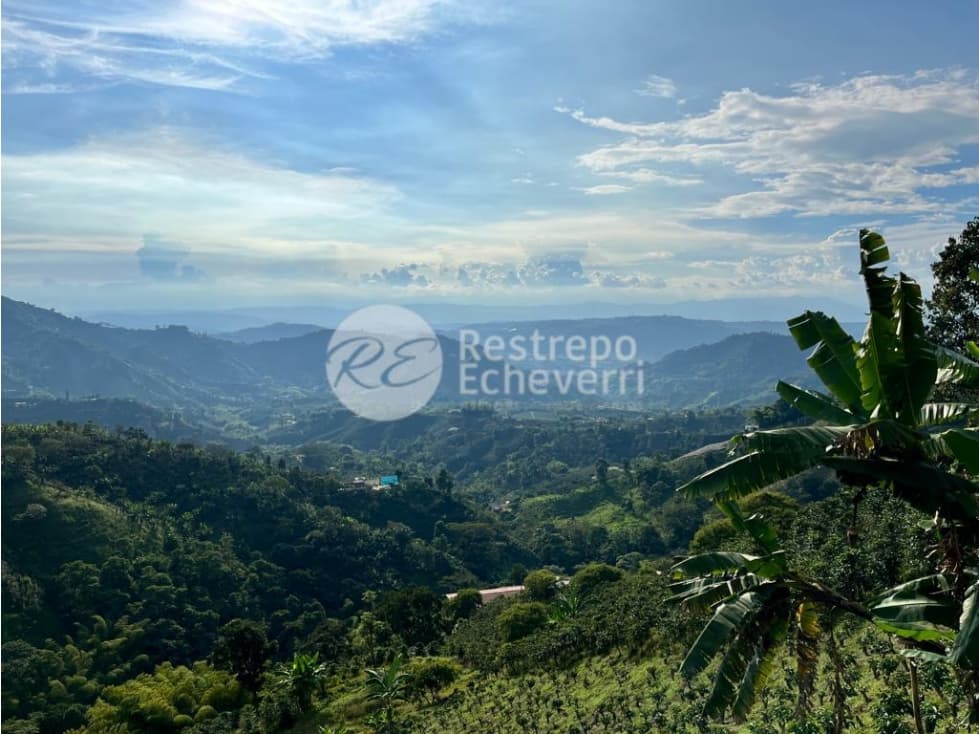 Finca en venta, Chinchiná, Caldas - 1