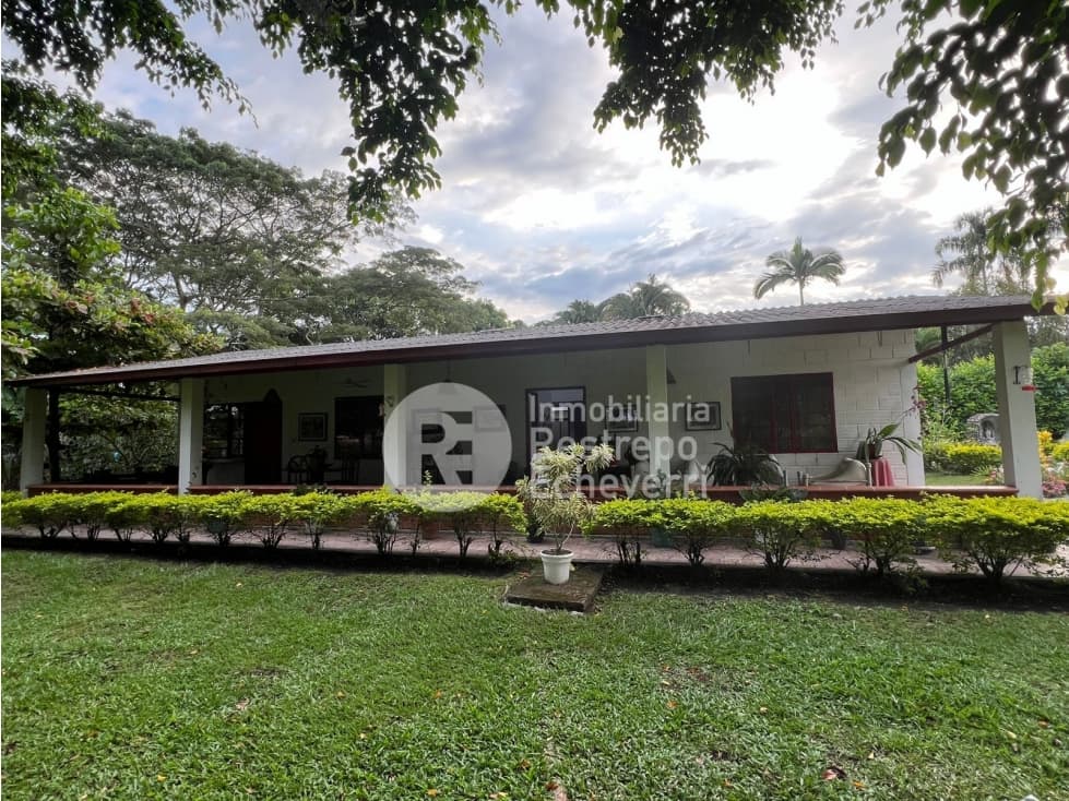 Finca en venta Las Margaritas, vereda La Perla, Anserma, Caldas - 1