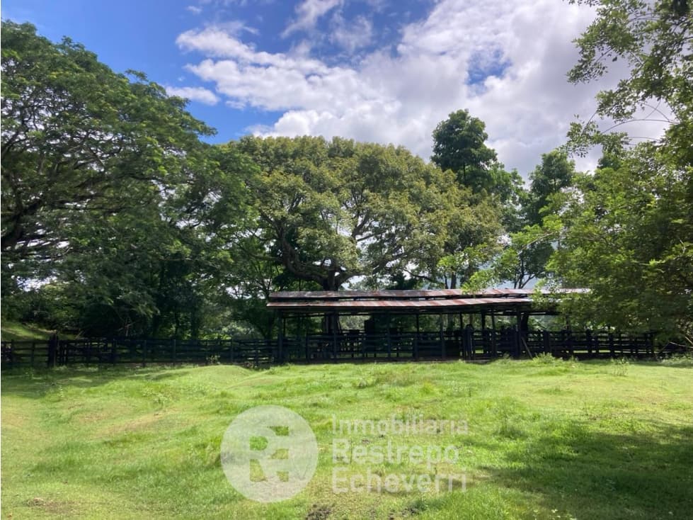 Finca en venta, La Dorada, Caldas. - 1