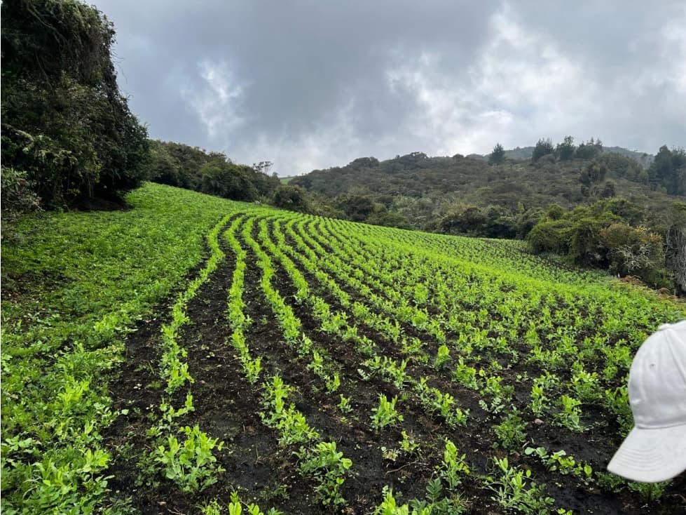 LOTE EN VENTA EN FÚQUENE - 1