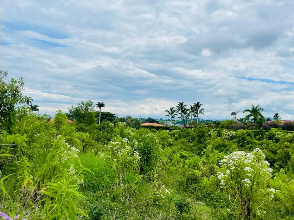 LOTE EN CONDOMINIO CON PERMISO DE USO TURÍSTICO - MONTENEGRO QUINDÍO - 1