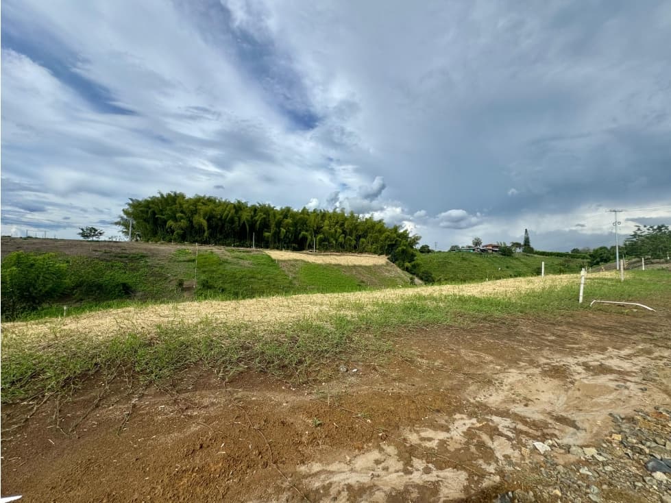 LOTE EN VENTA EN PARCELACIÓN UBICADO VÍA ULLOA VALLE DEL CAUCA - 1