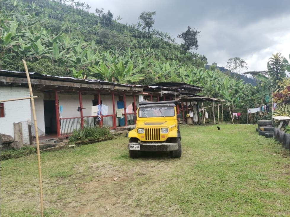 FINCA EN VENTA EN GÉNOVA, QUINDÍO EXCELENTE OPORTUNIDAD - 1