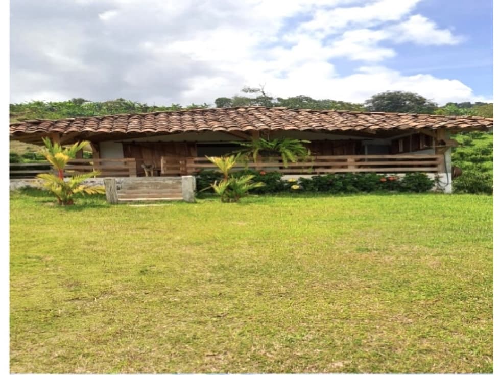 Finca Productora De Aguacate En Venta Caicedonia Valle - 1