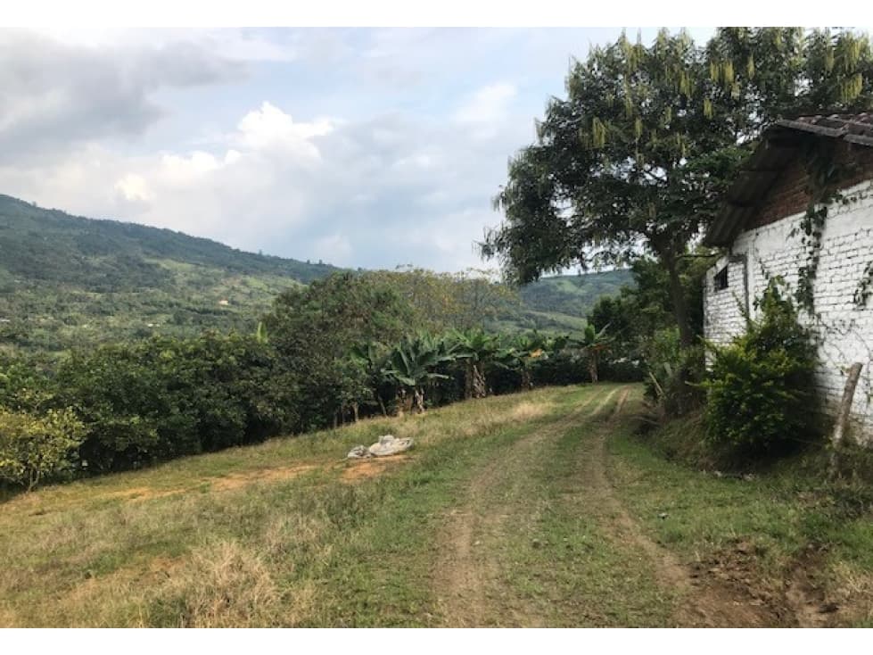 Finca en Pomares con Vocación Frutal y Avícola en Venta - 1