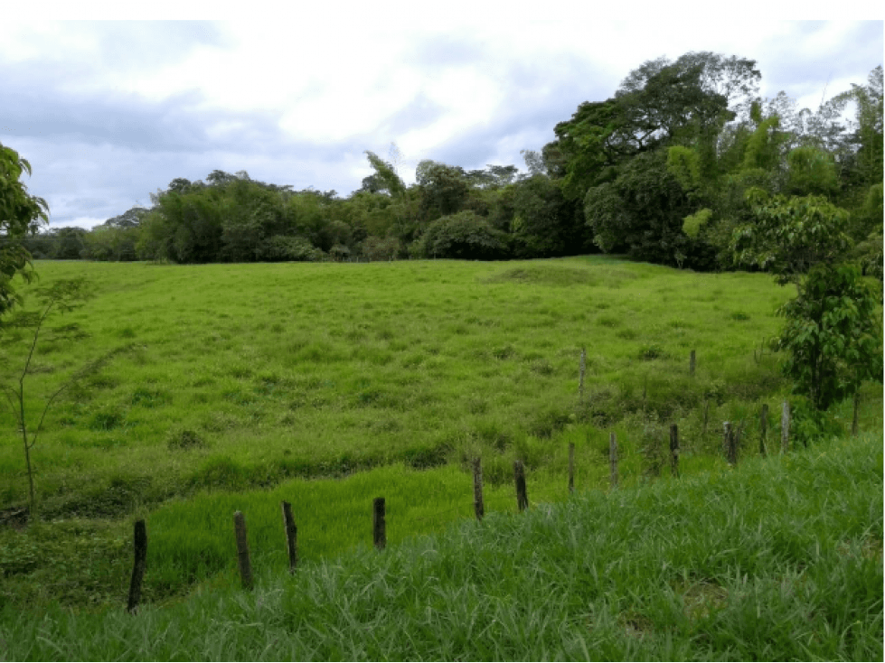 TERRENO LOTE SOBRE VIA PRINCIPAL VIA ACACIAS - 1