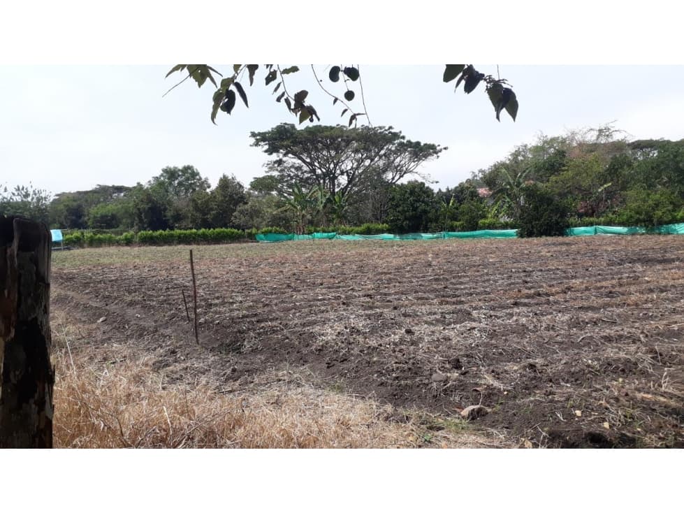 Venta de lote en Los Chancos, San Pedro - 1