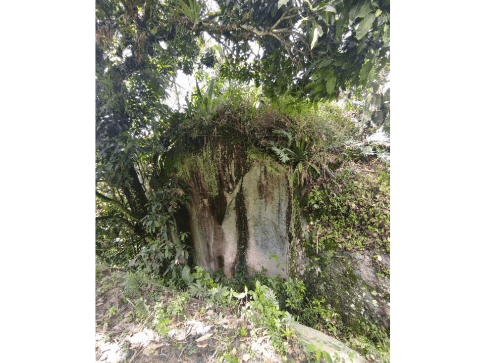 Venta de Lote en Girardota Vereda Meseta - 1