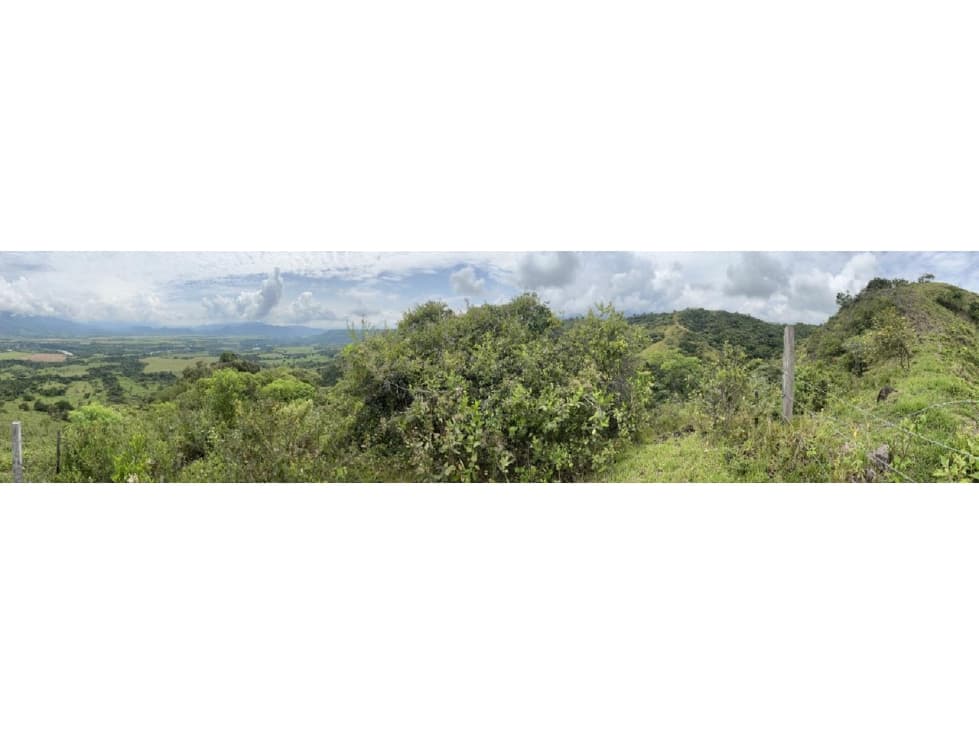 FINCA EN PAICOL - 1