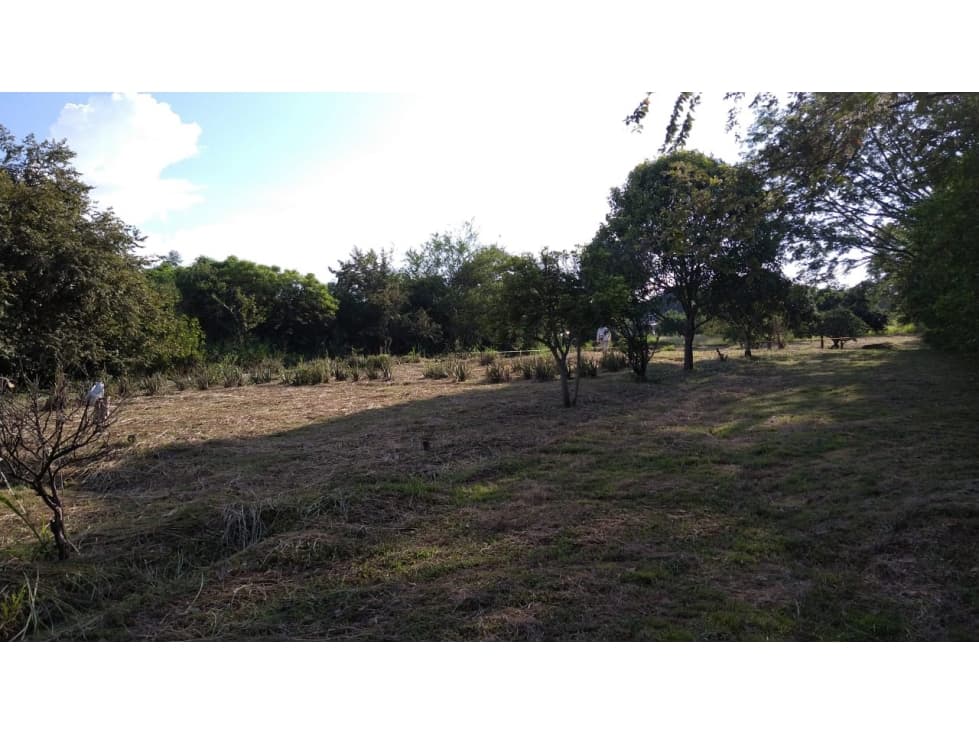 LOTE CAMPESTRE COLINA YAKUMAN - ULLOA - 1