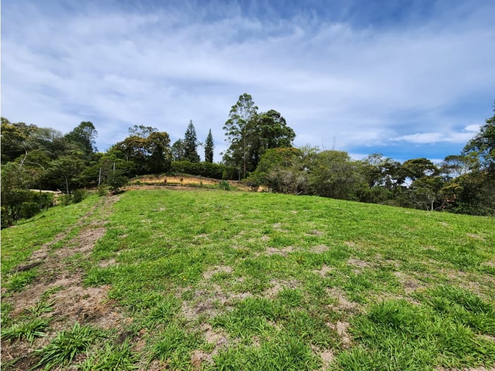 Venta de lote en la vía principal de San Antonio de Pereira a la Ceja - 1