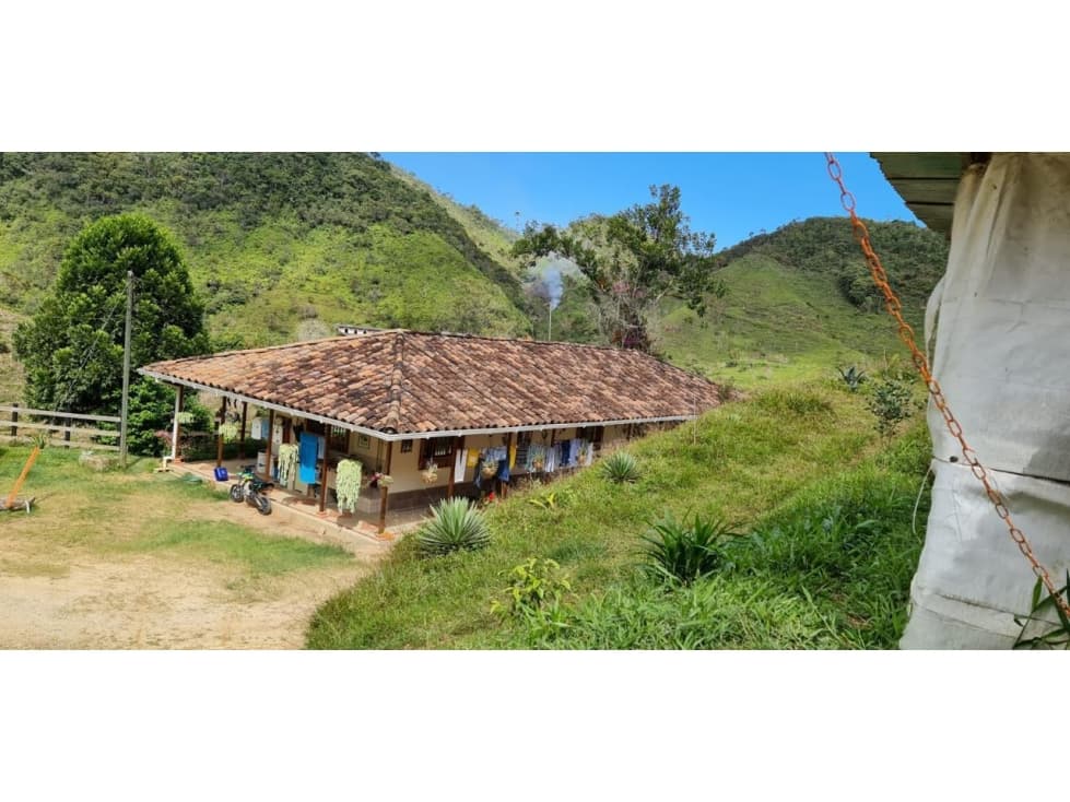 Venta de Finca Productiva en Santo Domingo Vereda Los Planes - 1