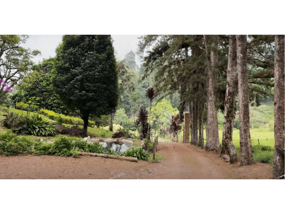 ARRIENDO FINCA DE RECREO EN SAN FRANCISCO CUNDINAMARCA - 1