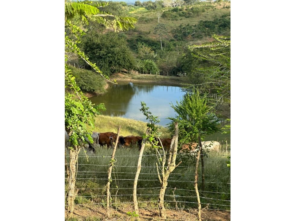 VENTE DE FINCA CAMPESTRE- ARJONA- COLOMBIA - 1