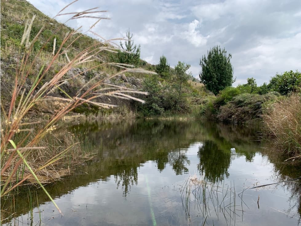 Finca Vereda Capilla (9,5 Hectáreas) - 1