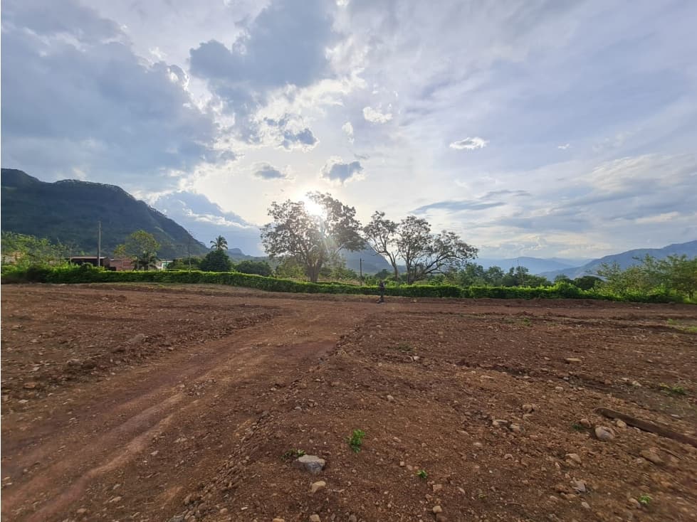 Proyecto En Venecia Antioquia - En Venta - 1