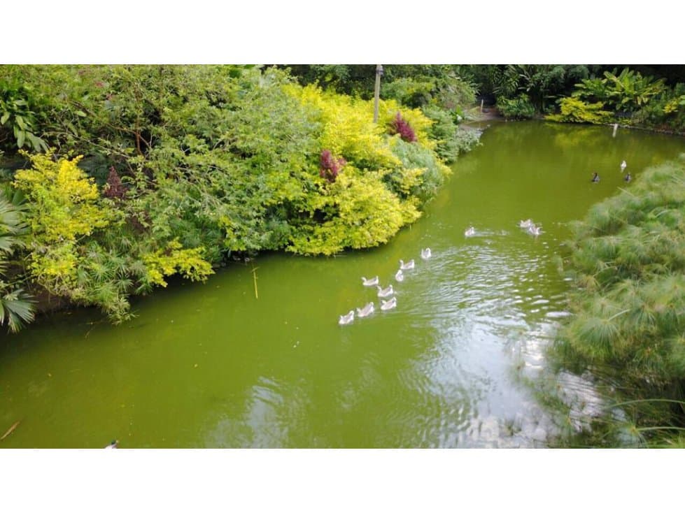 Finca En Girardota Antioquia - Venta - 1