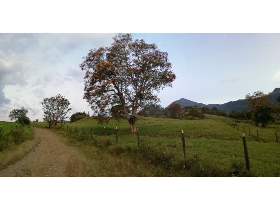Lote En Venecia-Antioquia - Se Vende - 1