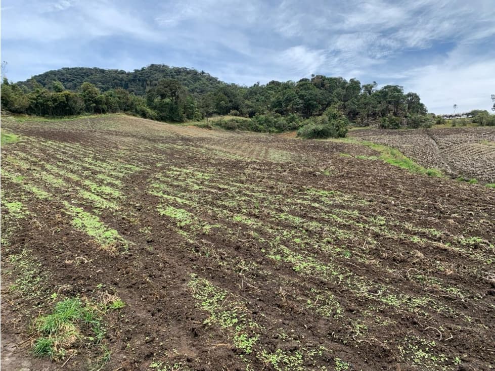 L0222. Vendo! Lote aprovechable a 3km de la via principal en La Unión  - 1