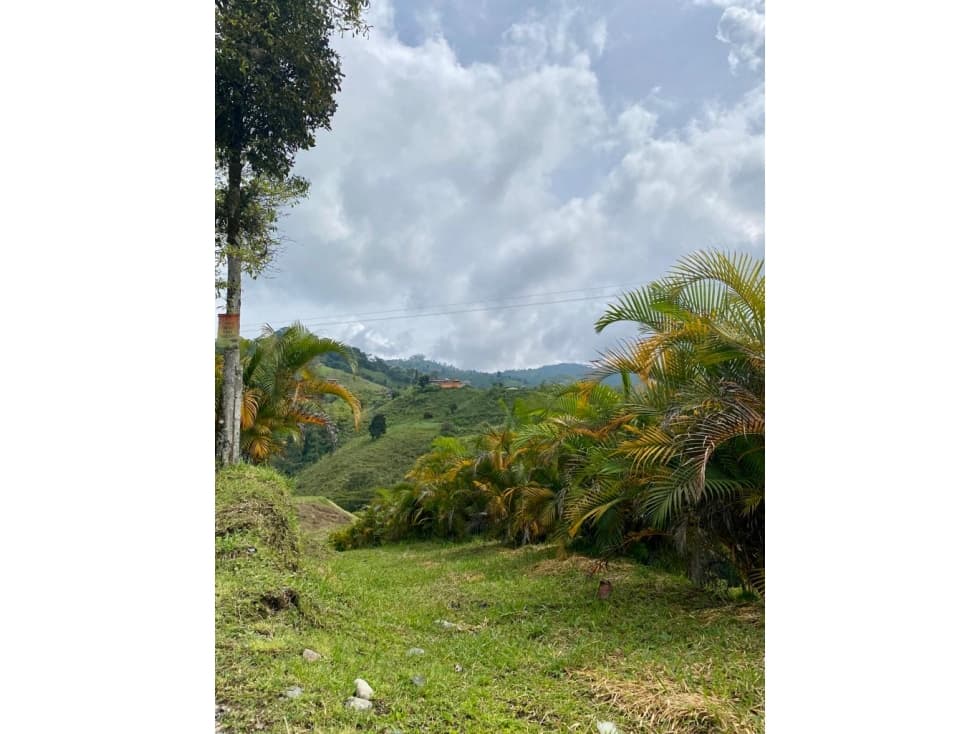 Se vende Lote en Dosquebradas - 1