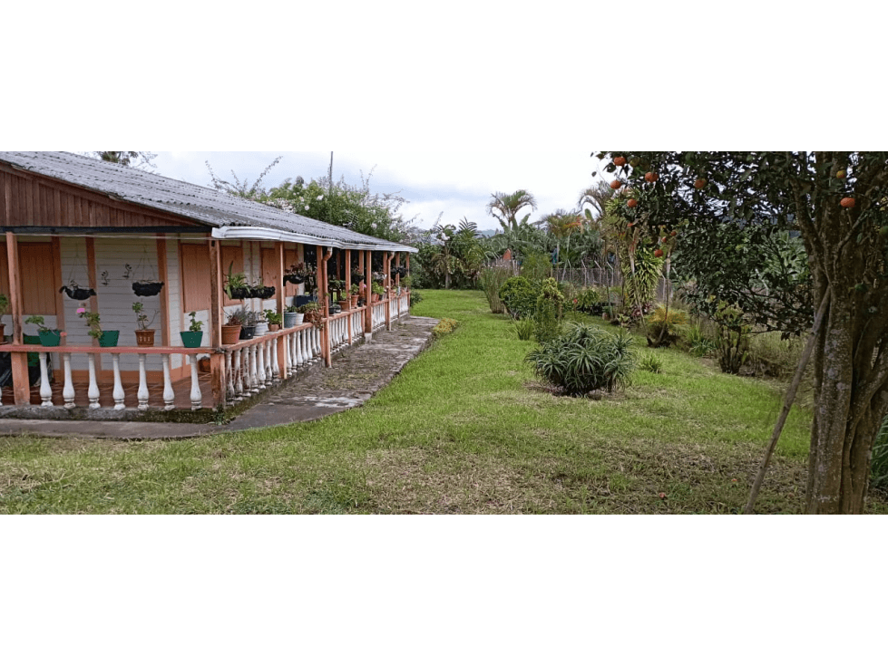 VENTA FINCA EN CIRCASIA QUINDIO COLOMBIA-3207746921 - 1