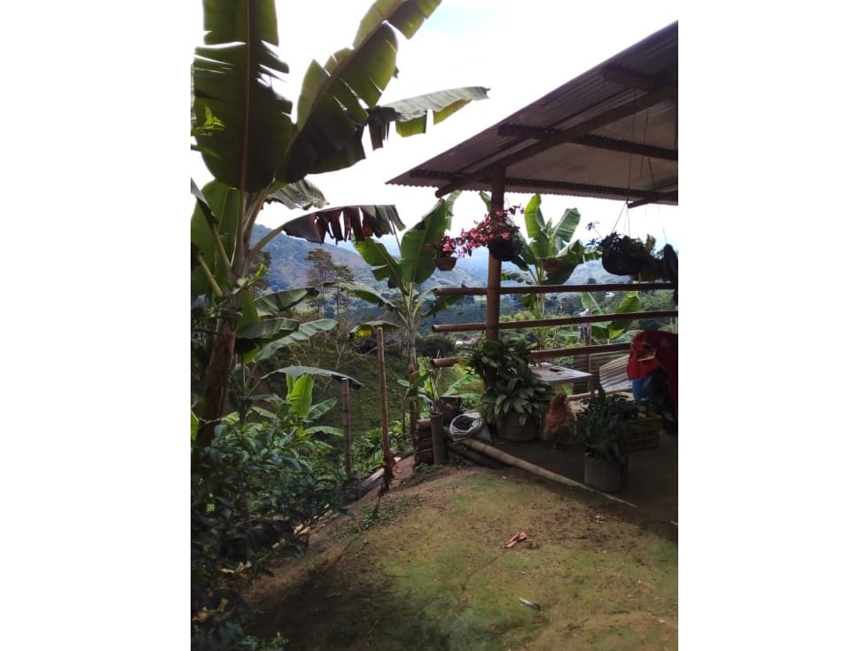 SE VENDE FINCA EN EL MUNICIPIO DE CORDOBA QUINDIO COLOMBIA - 1