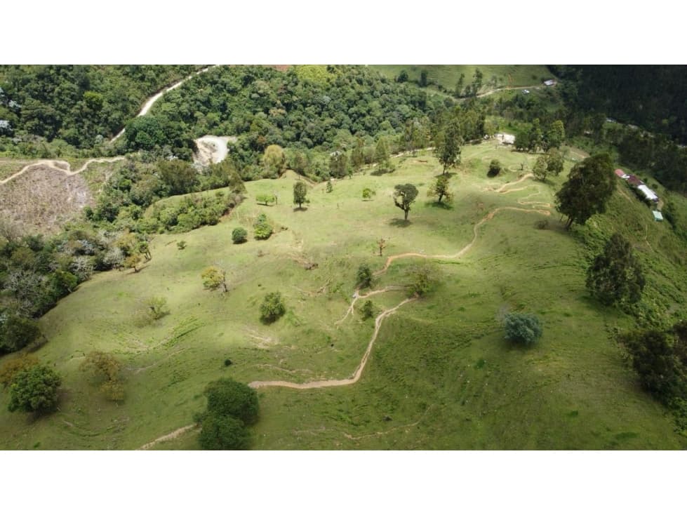 FINCA EN VENTA, GENOVA QUINDIO - 1