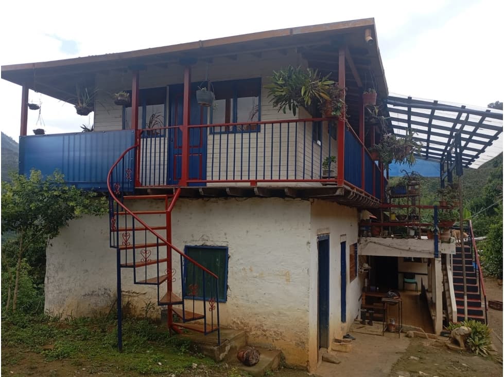 FINCA EN VENTA, CAICEDONIA VALLE - 1