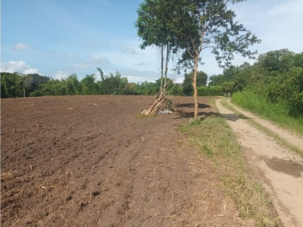 VENTA LOTE EN EL CAIMO VALLE DEL CAUCA COLOMBIA-3207746921 - 1