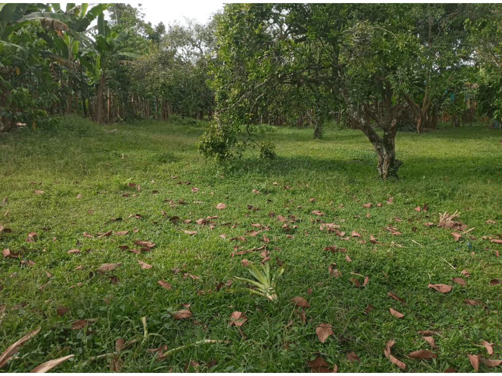 SE VENDE LOTE EN QUIMBAYA QUINDIO COLOMBIA-3207746921 - 1