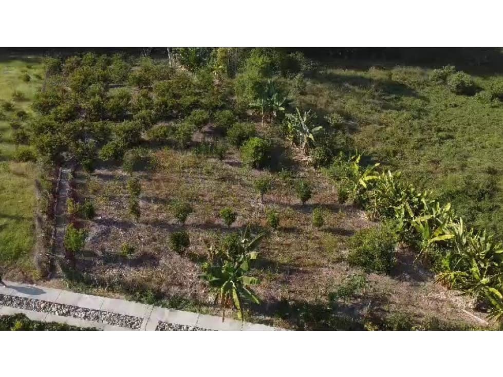SE VENDE LOTE EN LA TEBAIDA QUINDIO COLOMBIA - 1