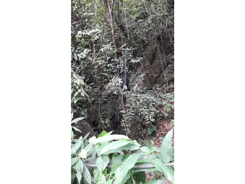 SE VENDE FINCA EN PIJAO, QUINDIO, COLOMBIA - 1