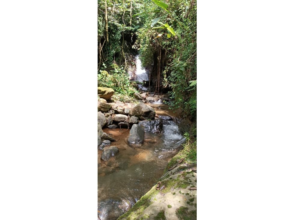 SE VENDE LOTE EN GENOVA ,QUINDIO COLOMBIA - 1