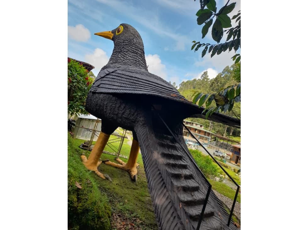 VENDE HOTEL EN RISARALDA ,PERIRA, COLOMBIA - 1