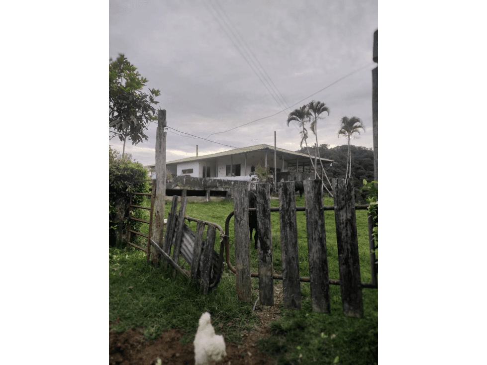 VENTA FINCA COROZAL VALLE DEL CAUCA COLOMBIA-3207746921 - 1