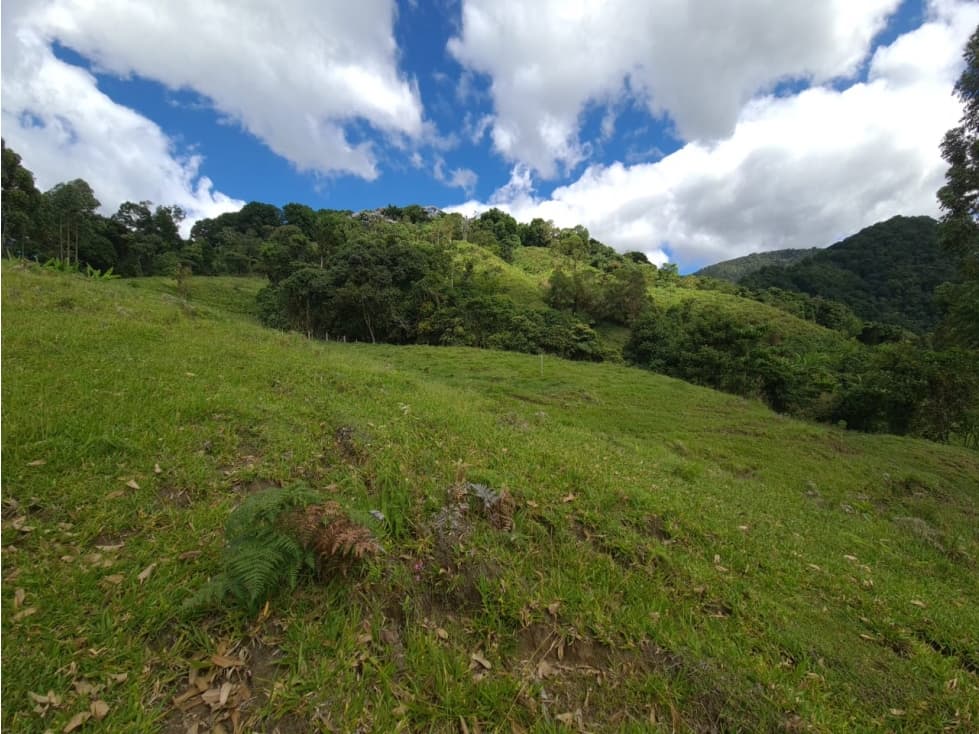 SE VENDE FINCA EN GENOVA QUINDIO COLOMBIA - 1