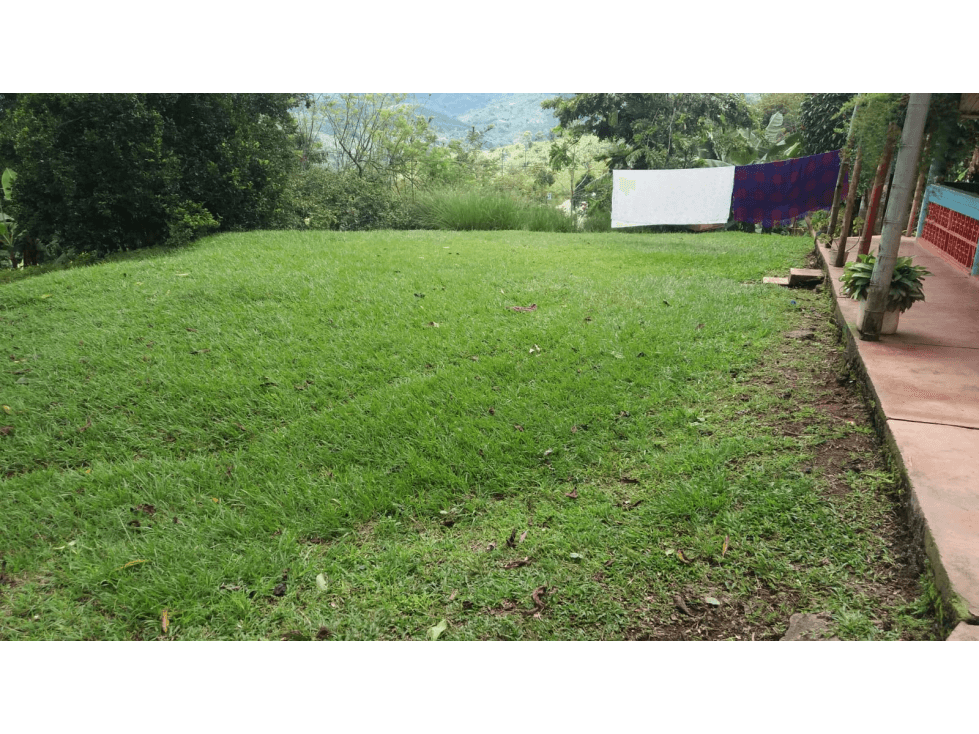 SE VENDE LOTE CON CONSTRUCCIÓN VIA SEVILLA CAICEDONIA, COLOMBIA - 1