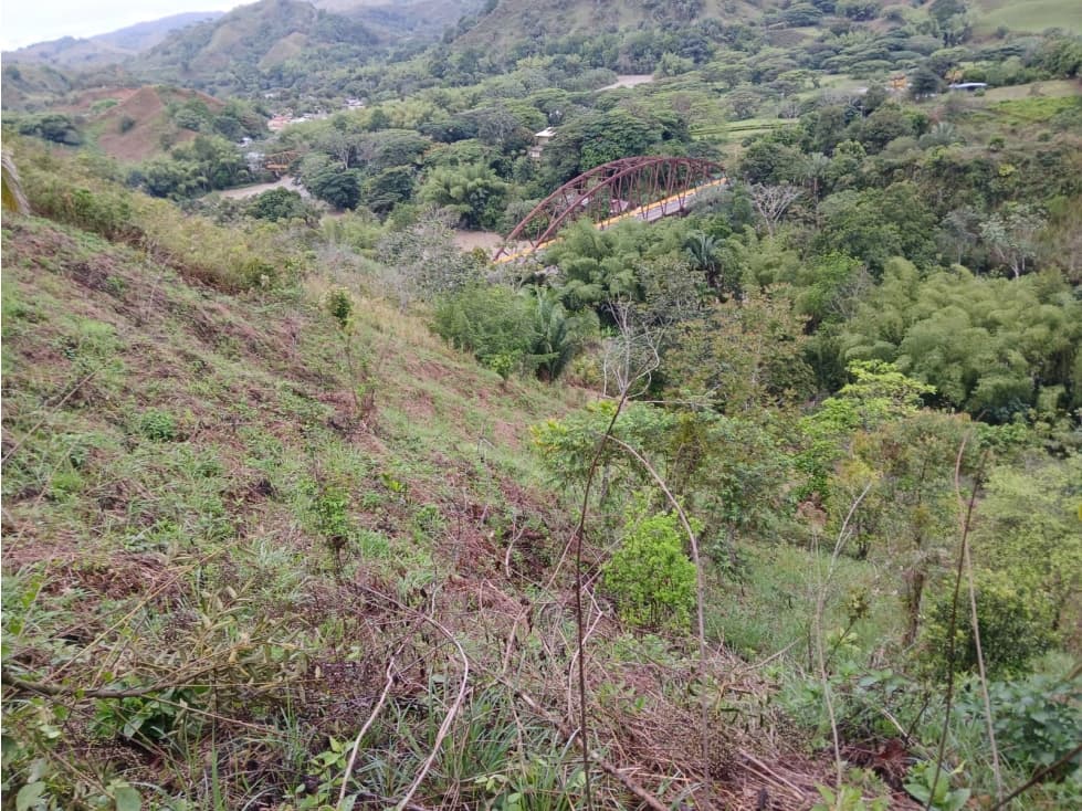 SE VENDE FINCA EN SEVILLA VALLE- COLOMBIA - 1