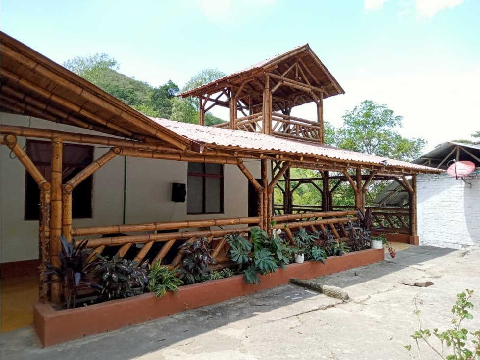 SE VENDE FINCA EN SEVILLA VALLE- COLOMBIA - 1