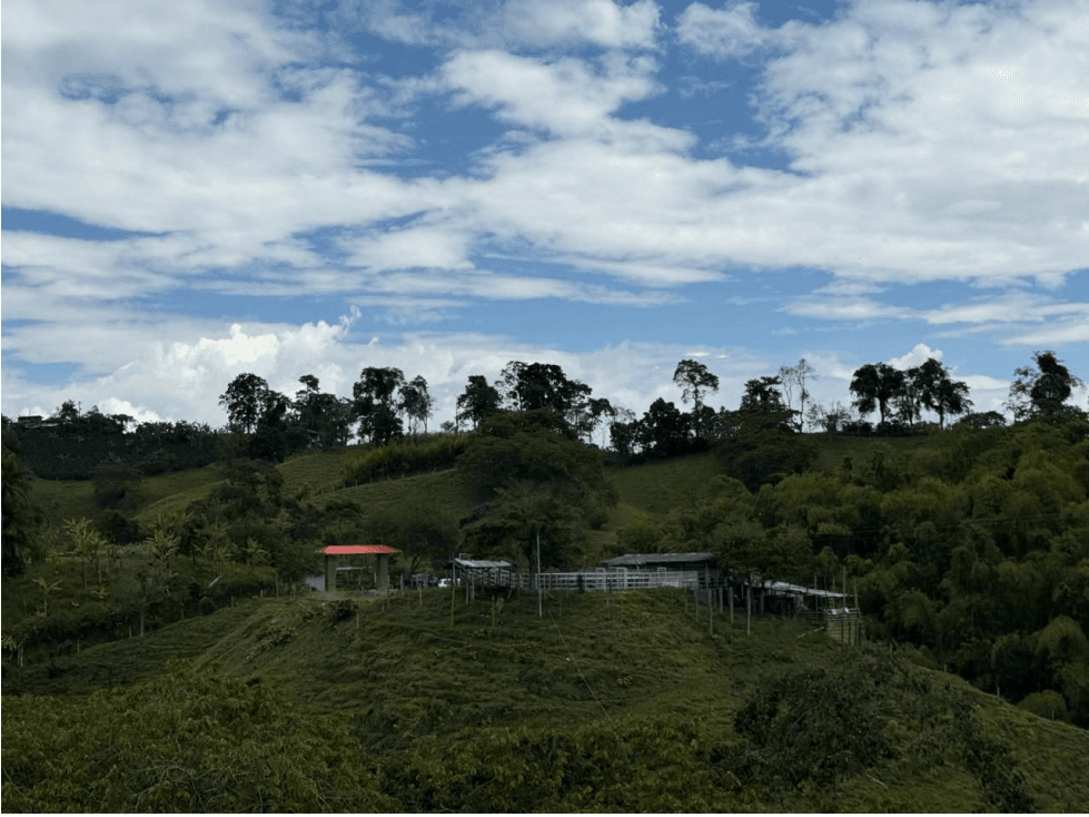 Venta Finca Filandia Quindío - Colombia COD: 4899101 - 1